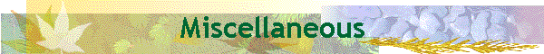 Miscellaneous