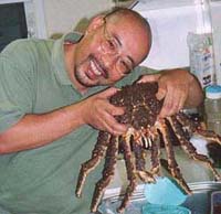 Live crab