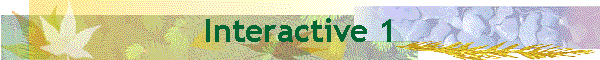 Interactive 1
